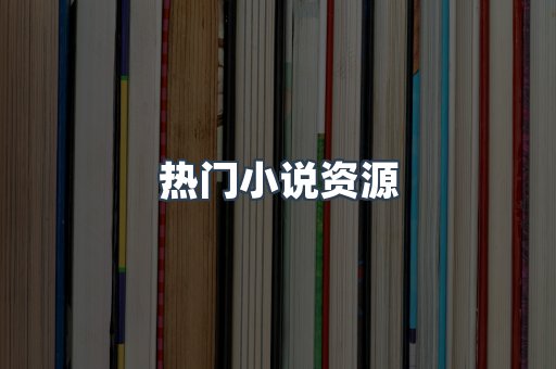 热门小说资源
